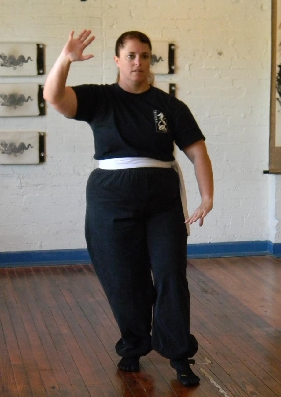 Tai Chi and Competition:  Team Tournament & CACMA (Part 1)