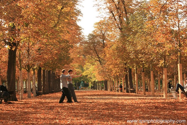 Tai Chi Quote of the Week