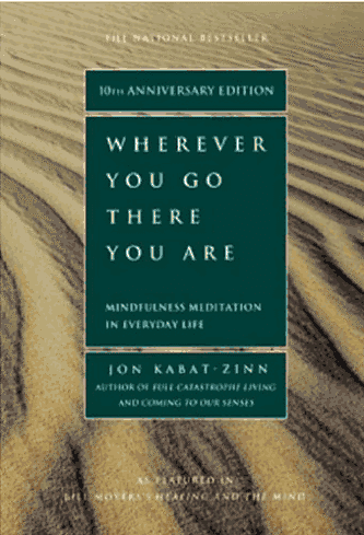 Book Review: Wherever You Go There You Are